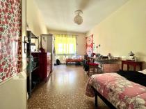 gallery immobile